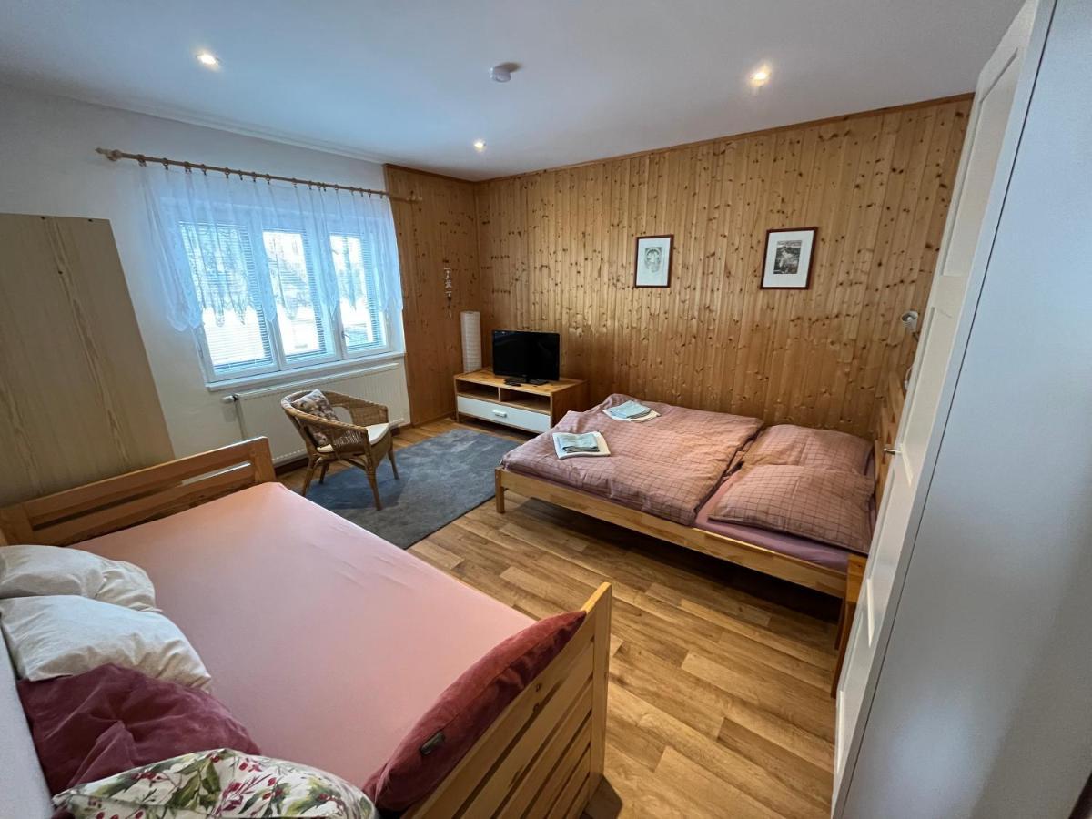 Ubytování Sedlařík Mladé Buky Esterno foto
